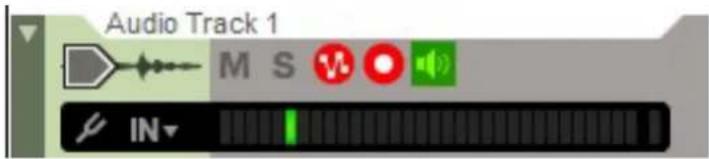 Audio Track 1 M S