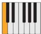 PROPELLERHEAD Reason Lite 11.2 - Pattern - 25