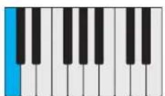 PROPELLERHEAD Reason Lite 11.2 - Pattern - 50