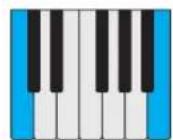 PROPELLERHEAD Reason Lite 11.2 - Pattern - 20