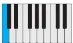PROPELLERHEAD Reason Lite 11.2 - Pattern - 55