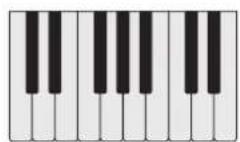 PROPELLERHEAD Reason Lite 11.2 - Pattern - 47