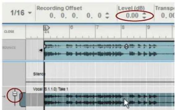 1/16 Recording Offset 0. 0. 0. 0. 0 Level (dB) Transp 0.00 CLOSE D 14 6 7 8 9 REFERENCE Silence Vocal (5.1.1.0) Take 1