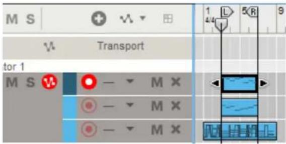 M S Transport tor 1 M S - M X - M X - M X