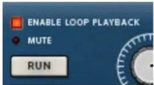 ENABLE LOOP PLAYBACK MUTE RUN