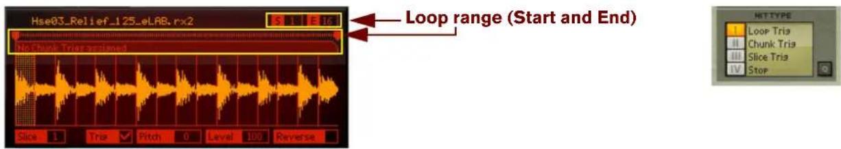 Hse03_Relief_125_eLAB.rx2 Loop range (Start and End) Bio Chunk Trias assigned Slice 1 Tris Pitch 0 Level 100 Reverse NET TYPE Loop Trias Chunk Trias Slice Trias Stop