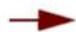 PROPELLERHEAD Reason Lite 11.2 - Pattern - 22
