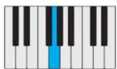 PROPELLERHEAD Reason Lite 11.2 - Pattern - 57