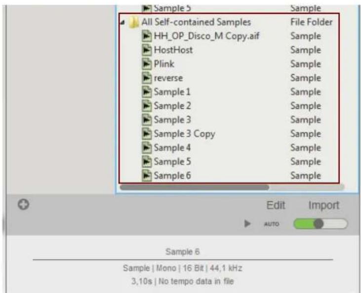 Sample 5 All Self-contained Samples HH_OP_Disco_M Copy.aif HostHost Plink reverse Sample 1 Sample 2 Sample 3 Sample 3 Copy Sample 4 Sample 5 Sample 6 File Folder Sample Sample Sample Sample Sample Sample Sample Sample Sample Sample Sample Sample Sample Edit Import AUTO Sample 6 Sample | Mono | 16 Bit | 44,1 kHz 3,10s | No tempo data in file