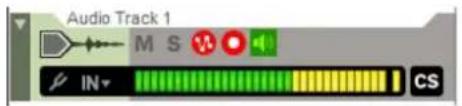 Audio Track 1 M S IN CS