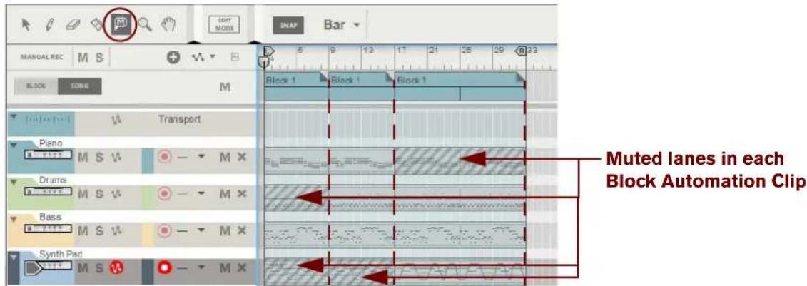 Muted lanes in each Block Automation Clip