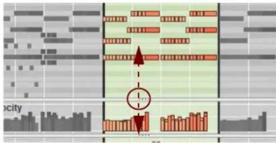 PROPELLERHEAD Reason Lite 11.2 - Resizing, zooming and scrolling - 1