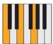 PROPELLERHEAD Reason Lite 11.2 - Pattern - 54
