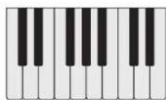 PROPELLERHEAD Reason Lite 11.2 - Pattern - 48