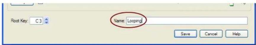 Root Key: C 3 Name: Locping Save Cancel Help