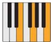 PROPELLERHEAD Reason Lite 11.2 - Pattern - 8