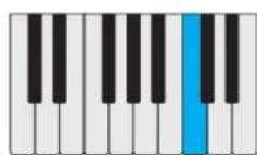 PROPELLERHEAD Reason Lite 11.2 - Pattern - 58