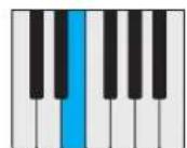 PROPELLERHEAD Reason Lite 11.2 - Pattern - 42