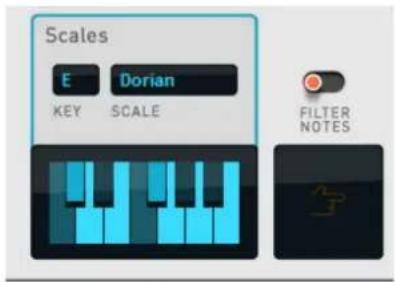 Scales E Dorian KEY SCALE FILTER NOTES