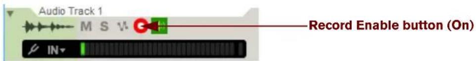 Audio Track 1 M S V Record Enable button (On) IN
