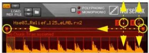 ON LOAD REX FILE POLYPHONIC MONOPHONIC HorseKex Hse03_Relief_125_eLAB.rx2 E E Ee Chunk Trial assigned