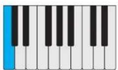 PROPELLERHEAD Reason Lite 11.2 - Pattern - 45