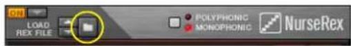 PROPELLERHEAD Reason Lite 11.2 - Click the Browse Samples (folder) button. - 1
