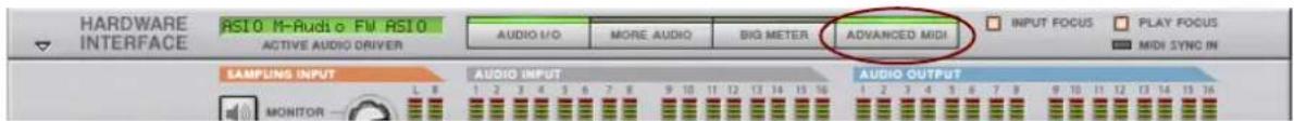 HARDWARE INTERFACE RS10 M-Rucl o FM RS10 ACTIVE AUDIO DRIVER AUDIO I/O MORE AUDIO BIG METER ADVANCED MIDI INPUT FOCUS PLAY FOCUS MIDI SYNC IN SAMPLING INPUT AUDIO INPUT MONITOR AUDIO OUTPUT 1 2 3 4 5 6 7 8 9 10 11 12 13 14 15 16 1 2 3 4 5 6 7 8 9 10 11 12 13 14 15 16