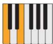 PROPELLERHEAD Reason Lite 11.2 - Pattern - 31