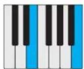 PROPELLERHEAD Reason Lite 11.2 - Pattern - 17