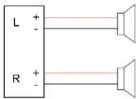 L + - R + -