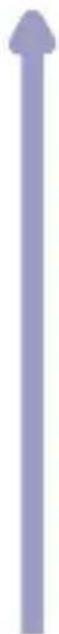 ALCATEL One Touch 310 - Beschikbare opties - 1
