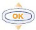 ALCATEL One Touch 310 - Invoerhulp - 3