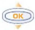 ALCATEL One Touch 310 - Beschikbare opties - 1