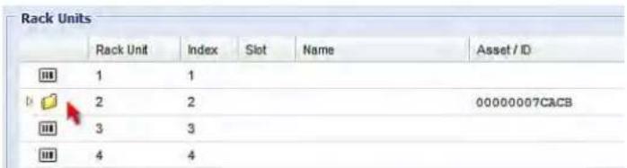 Rack Units Rack Unit Index Slot Name Asset / ID 1 1 2 2 00000007CACB 3 3 4 4