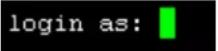 Raritan Dominion PX2-5486 - To log in using SSH or Telnet: - 1