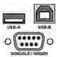 Raritan Dominion PX2-5486 - - Front panel ports: - 1