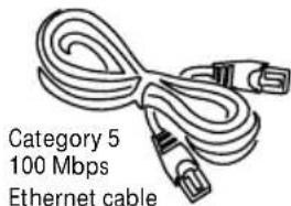 Category 5 100 Mbps Ethernet cable