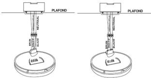 PLAFOND PLAFOND PLAFOND PLAFOND PLAFOND PLAFOND PLAFOND PLAFOND PLAFOND PLAFOND PLAFOND PLAFOND PLAFOND PLAFOND PLAFOND PLAFOND PLAFOND PLAFOND PLAFOND PLAFOND PLAFOND PLAFOND PLAFOND PLAFOND PLAFOND PLAFOND