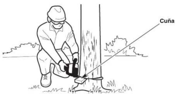 TROY-BILT TB4218C XP - Este corte derriba el árbol. - 4