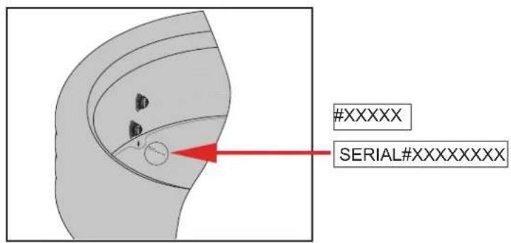 #XXXXX SERIAL#XXXXXXXX