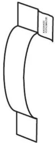 MASCULAR SYSTEM