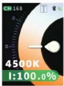 CH 168 4500K I:100.0%
