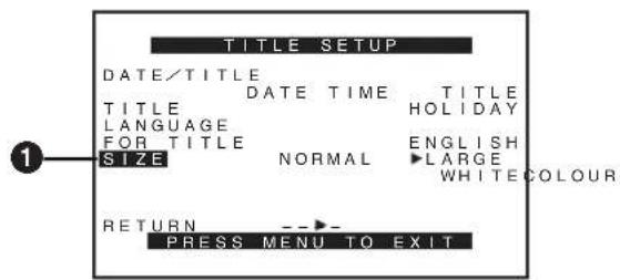 TITLE SETUP DATE/TITLE TITLE DATE TIME TITLE LANGUAGE HOLIDAY FOR TITLE ENGLISH SIZE NORMAL ►LARGE WHITE COLOUR RETURN ---►- PRESS MENU TO EXIT