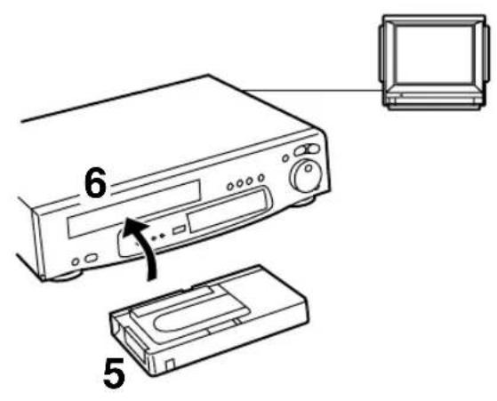 6 5