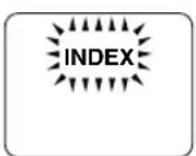 PANASONIC NV-RZ9EN - ■Warning/Alarm Indications - 7
