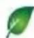 StarTech.com USB2HAUBY3 - Technische specificaties - 1