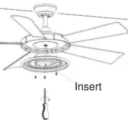 Insert