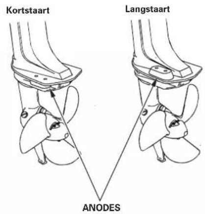 Kortstaart Langstaart ANODES