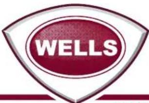 Wells ICP400 - CFESA - 2